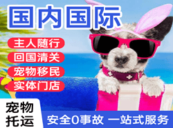 承德普宁航空快运国际宠物托运 【国